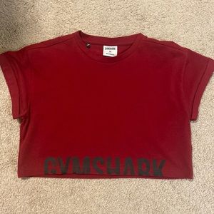 Gymshark Fraction Crop Top Red